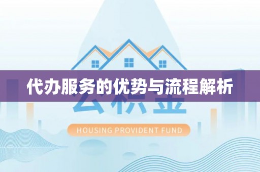 巴青代办服务的优势与流程解析