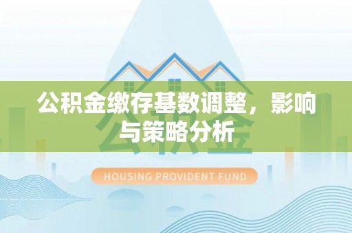 巴青公积金缴存基数调整，影响与策略分析