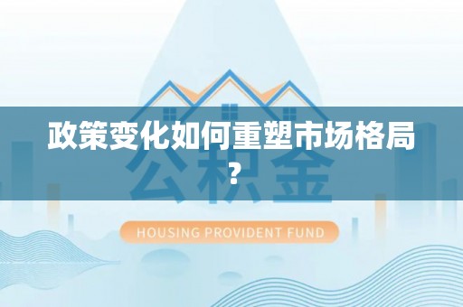 巴青政策变化如何重塑市场格局？