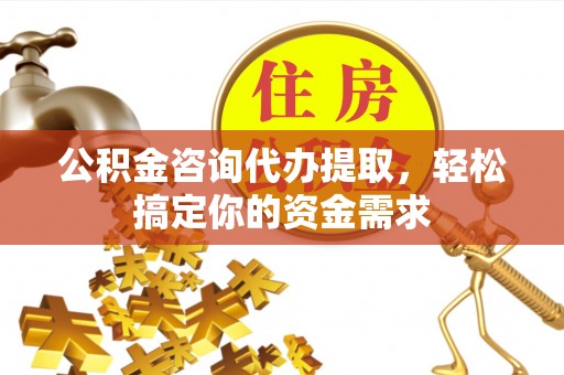 巴青公积金咨询代办提取，轻松搞定你的资金需求