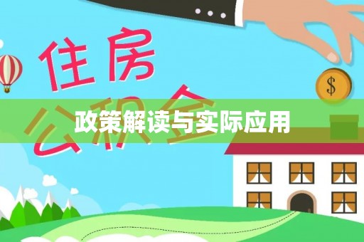 巴青政策解读与实际应用