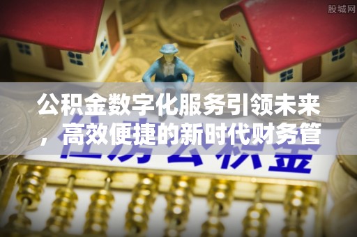 巴青公积金数字化服务引领未来，高效便捷的新时代财务管理