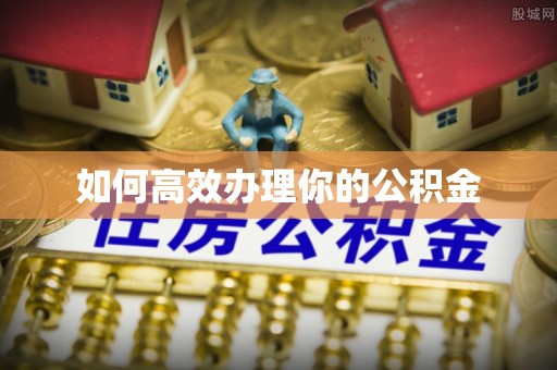 巴青如何高效办理你的公积金