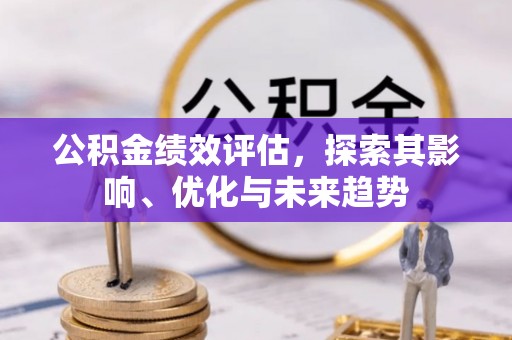 巴青公积金绩效评估，探索其影响、优化与未来趋势