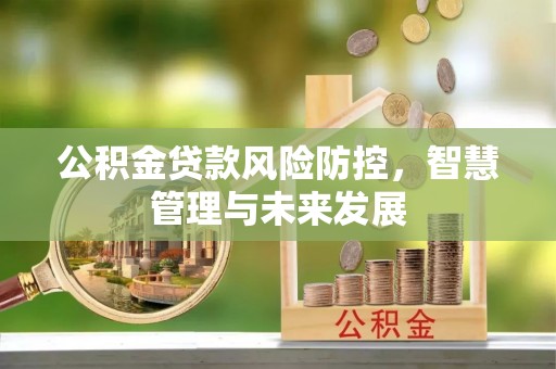 巴青公积金贷款风险防控，智慧管理与未来发展