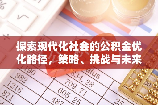 巴青探索现代化社会的公积金优化路径，策略、挑战与未来展望