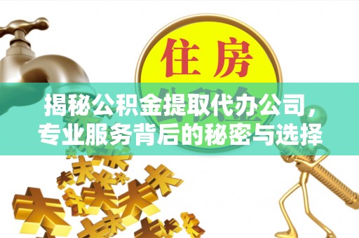 巴青揭秘公积金提取代办公司，专业服务背后的秘密与选择指南