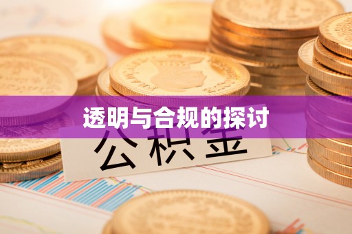 巴青透明与合规的探讨
