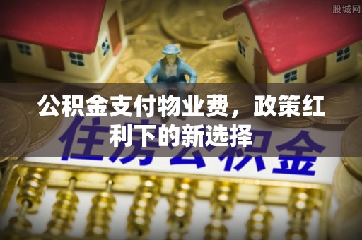 巴青公积金支付物业费，政策红利下的新选择