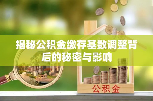 巴青揭秘公积金缴存基数调整背后的秘密与影响