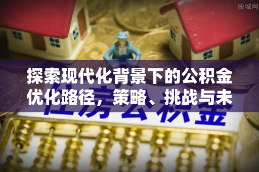 巴青探索现代化背景下的公积金优化路径，策略、挑战与未来展望