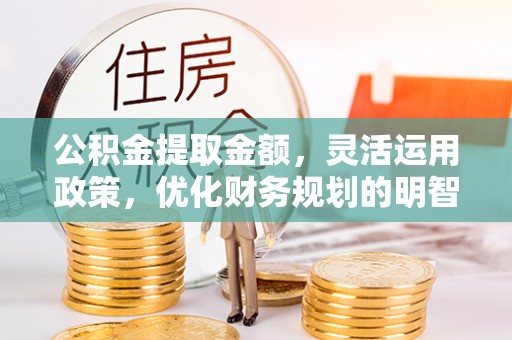 巴青公积金提取金额，灵活运用政策，优化财务规划的明智选择