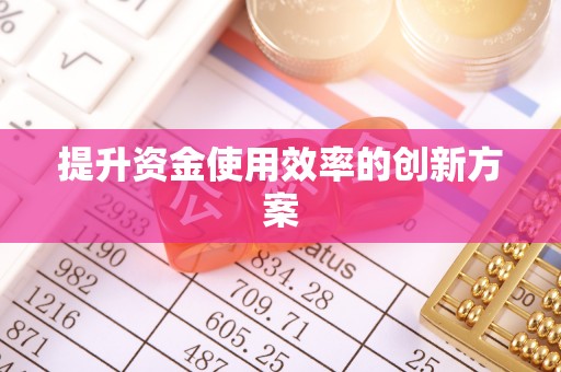 巴青提升资金使用效率的创新方案