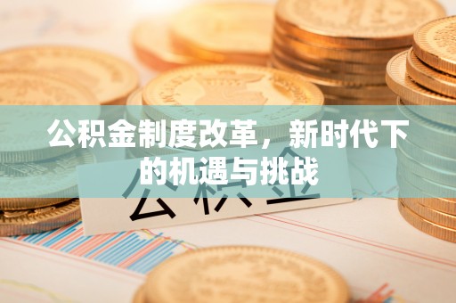 巴青公积金制度改革，新时代下的机遇与挑战