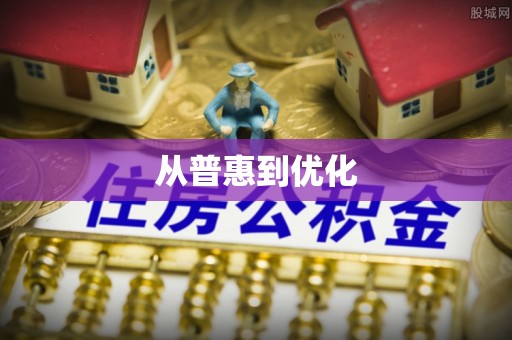 巴青从普惠到优化