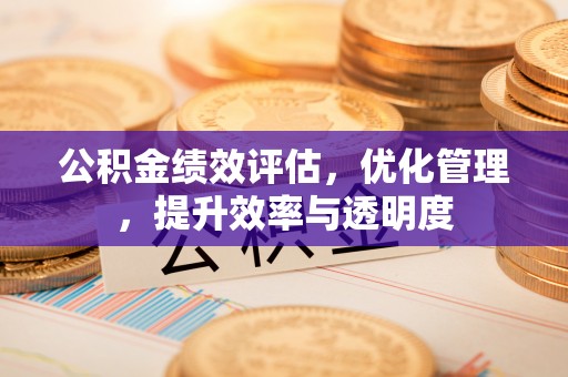 巴青公积金绩效评估，优化管理，提升效率与透明度