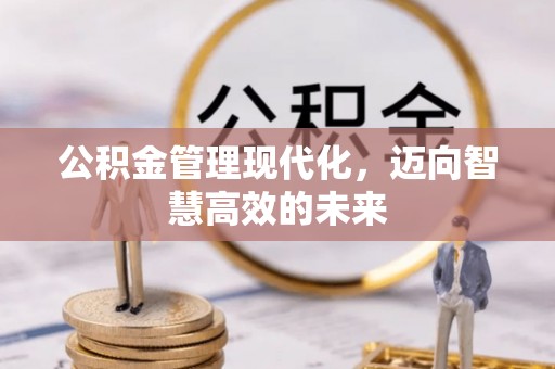 巴青公积金管理现代化，迈向智慧高效的未来