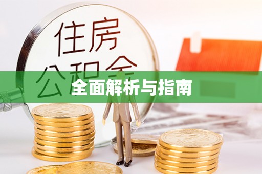 巴青全面解析与指南