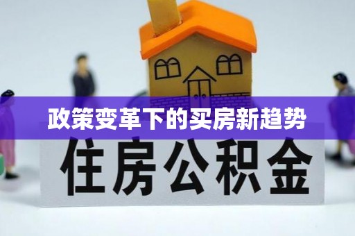 巴青政策变革下的买房新趋势