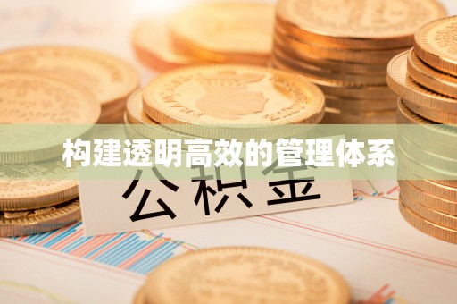 巴青构建透明高效的管理体系