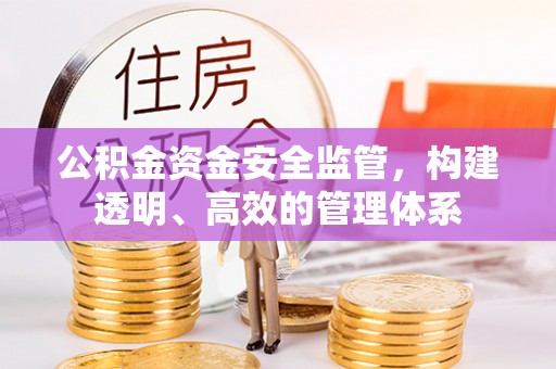 巴青公积金资金安全监管，构建透明、高效的管理体系