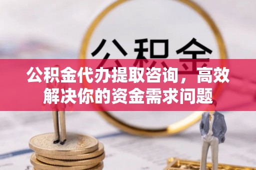 巴青公积金代办提取咨询，高效解决你的资金需求问题