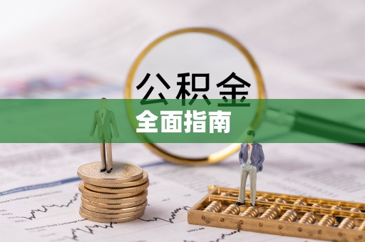 巴青全面指南