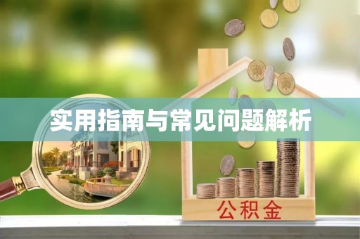 巴青实用指南与常见问题解析