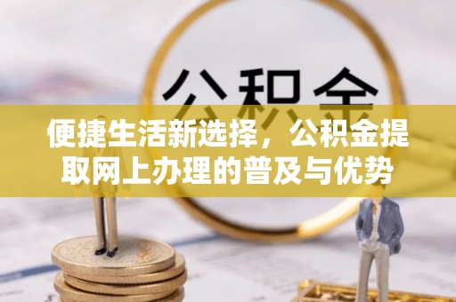 巴青便捷生活新选择，公积金提取网上办理的普及与优势