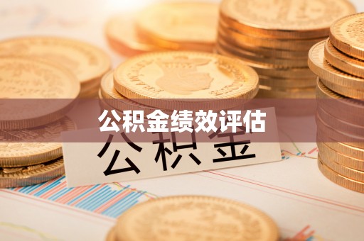 巴青公积金绩效评估