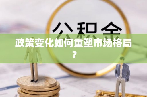 巴青政策变化如何重塑市场格局？