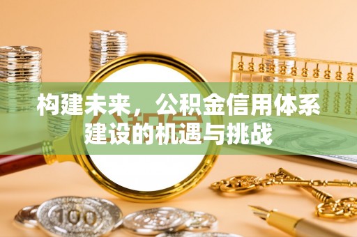 巴青构建未来，公积金信用体系建设的机遇与挑战