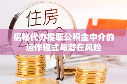 巴青揭秘代办提取公积金中介的运作模式与潜在风险