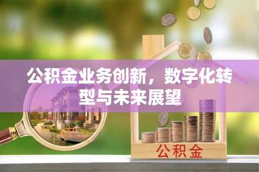 巴青公积金业务创新，数字化转型与未来展望