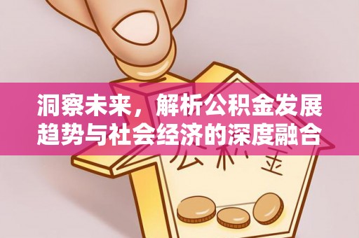 巴青洞察未来，解析公积金发展趋势与社会经济的深度融合