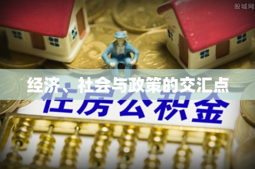巴青经济、社会与政策的交汇点