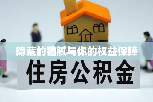 巴青隐藏的猫腻与你的权益保障