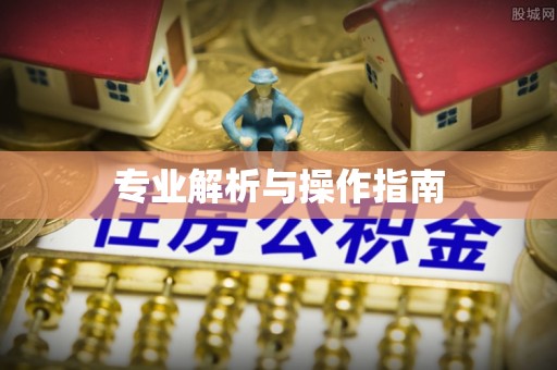 巴青专业解析与操作指南