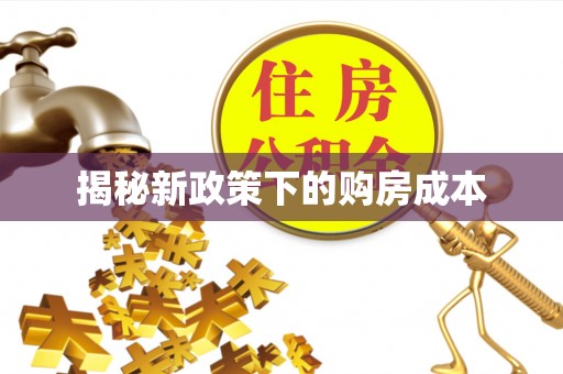 巴青揭秘新政策下的购房成本