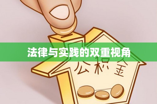 巴青法律与实践的双重视角
