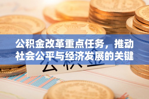 巴青公积金改革重点任务，推动社会公平与经济发展的关键一步