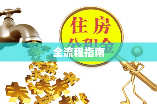 巴青全流程指南