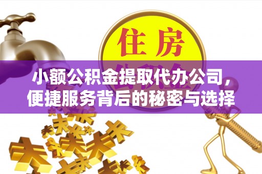 巴青小额公积金提取代办公司，便捷服务背后的秘密与选择指南