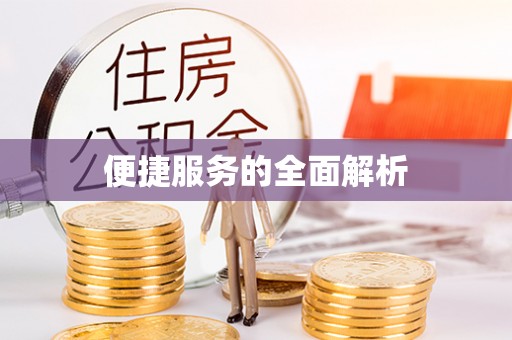 巴青便捷服务的全面解析