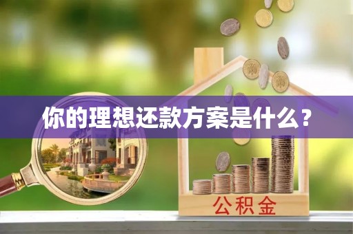 巴青你的理想还款方案是什么？