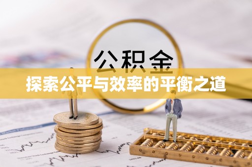 巴青探索公平与效率的平衡之道