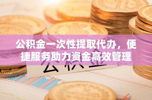 巴青公积金一次性提取代办，便捷服务助力资金高效管理