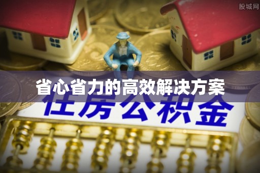 巴青省心省力的高效解决方案