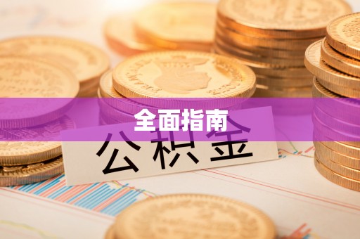 巴青全面指南