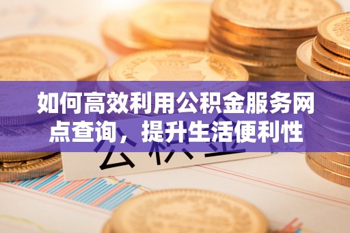 巴青如何高效利用公积金服务网点查询，提升生活便利性
